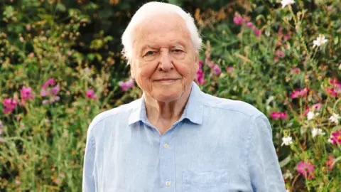 Portrait de David Attenborough.