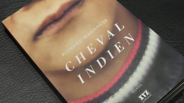Image de couverture de Cheval Indien