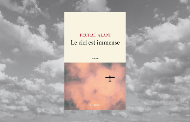 Image de couverture de Le ciel est immense.